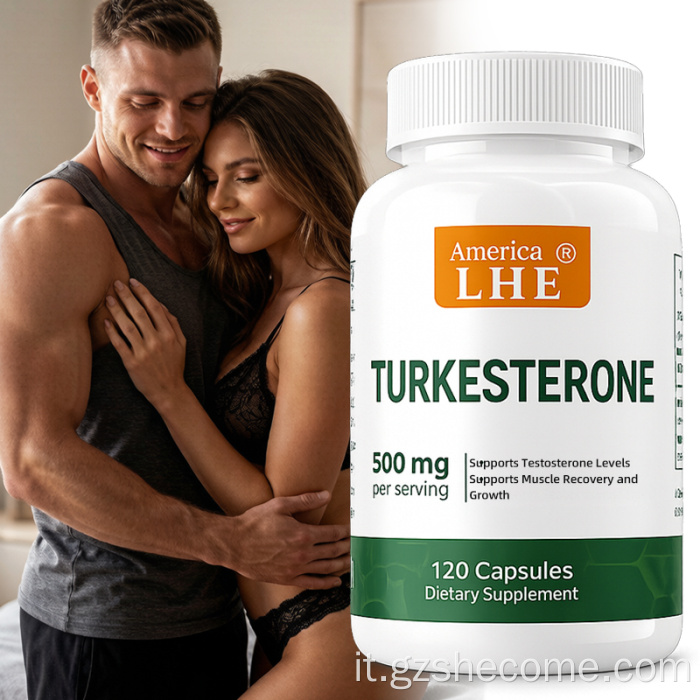 Supporto per il turkesterone Capsule di turkesterone per il recupero degli esercizi